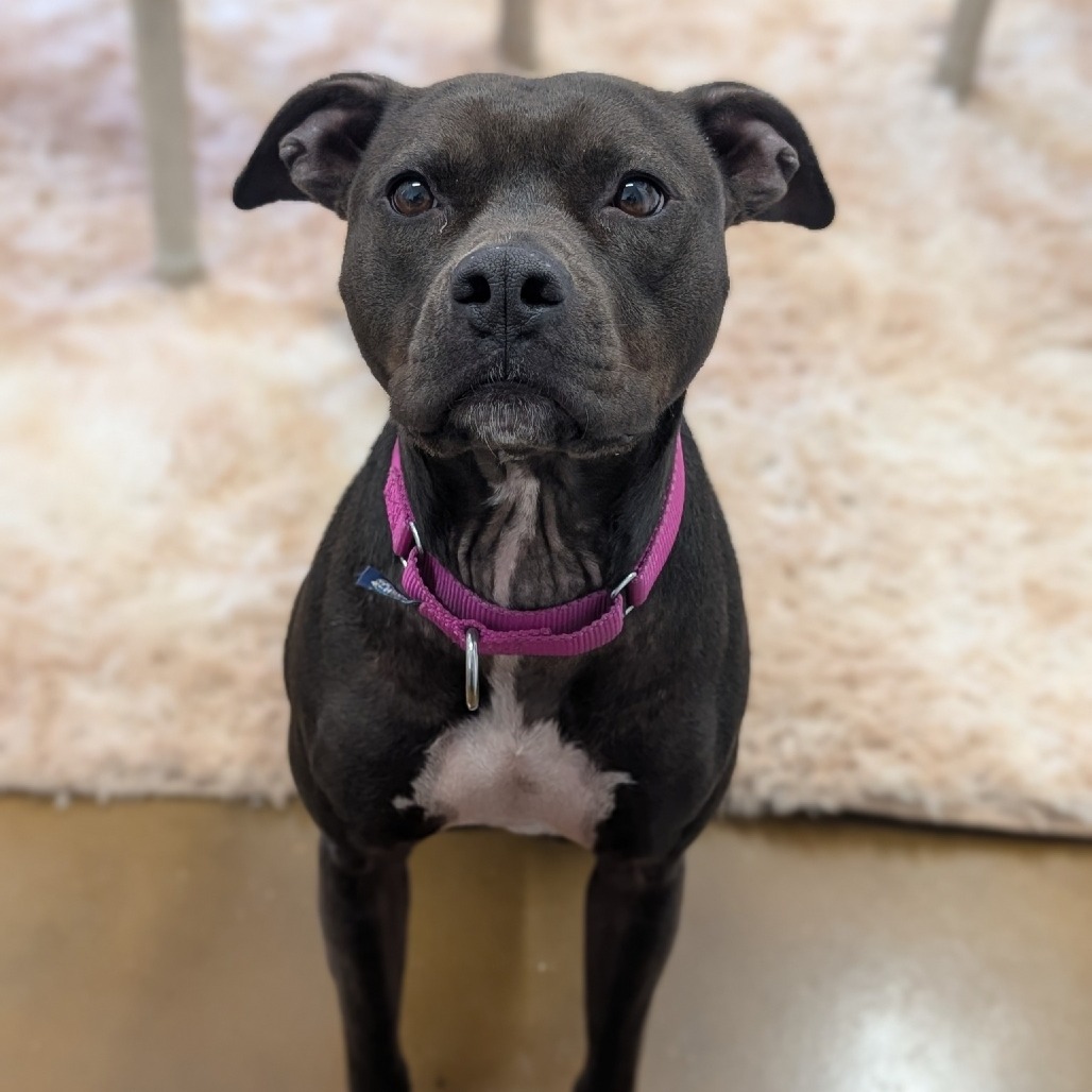 Milly 02-1509, photo 6