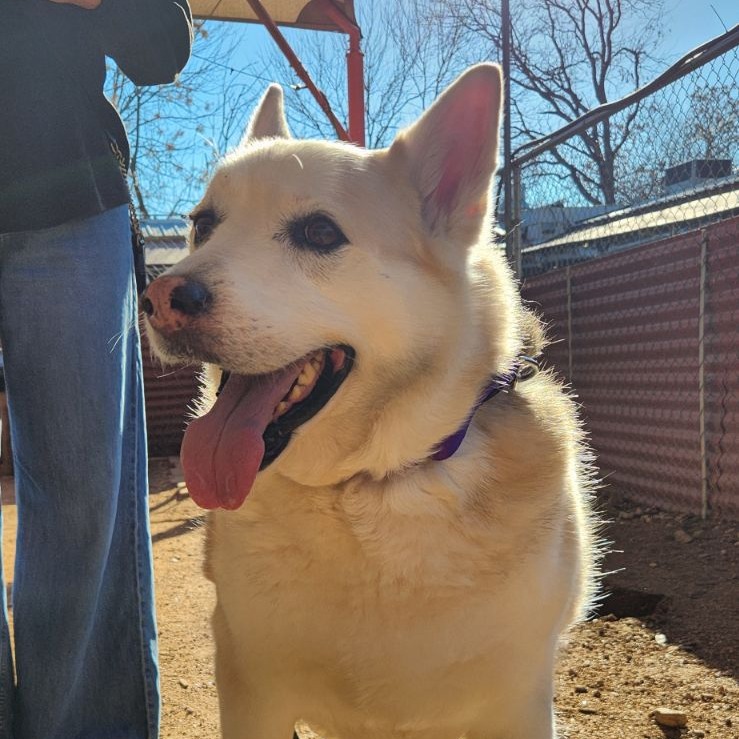 Stormy Weather — thumbnail 8