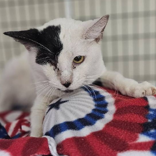 A#21b Cloud's preview photo