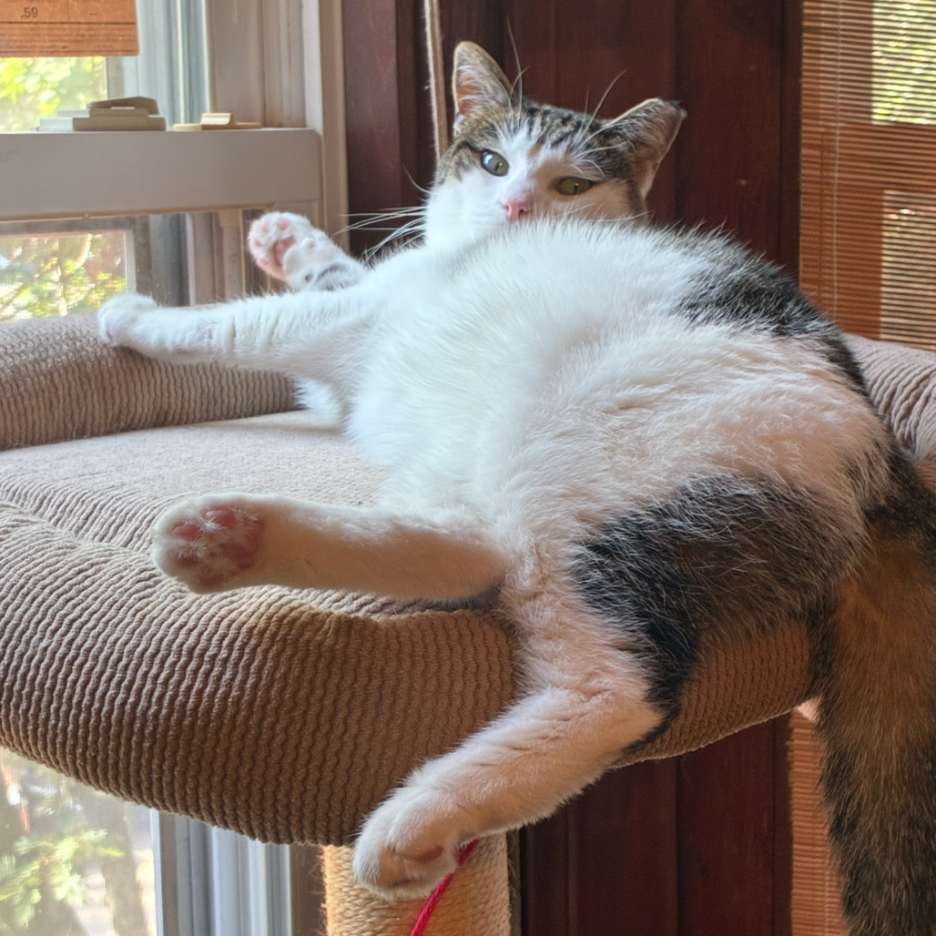 Lucy, photo 2