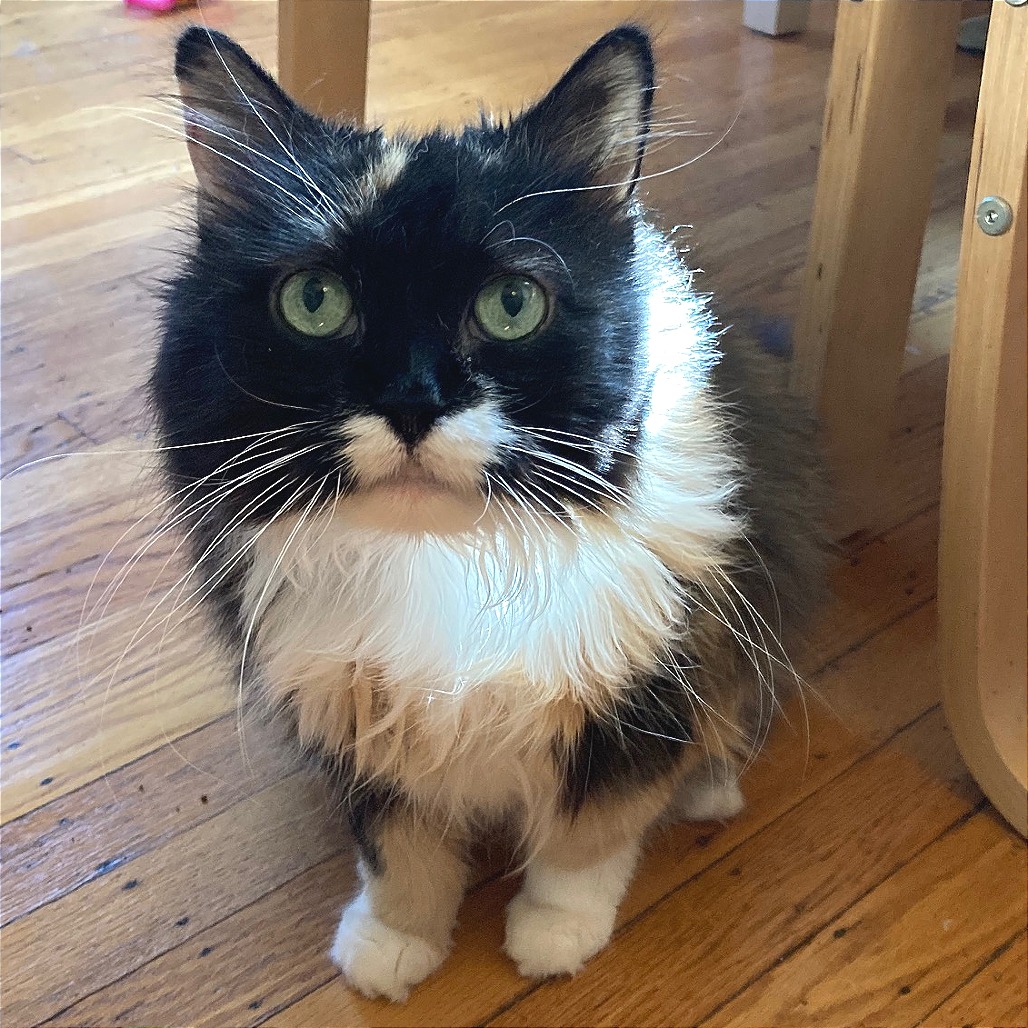Leah, photo 27