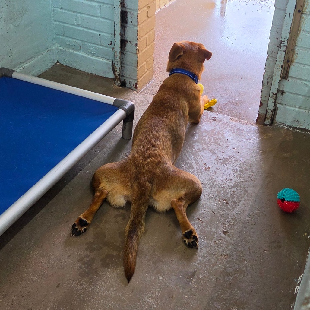 Thea photo 6