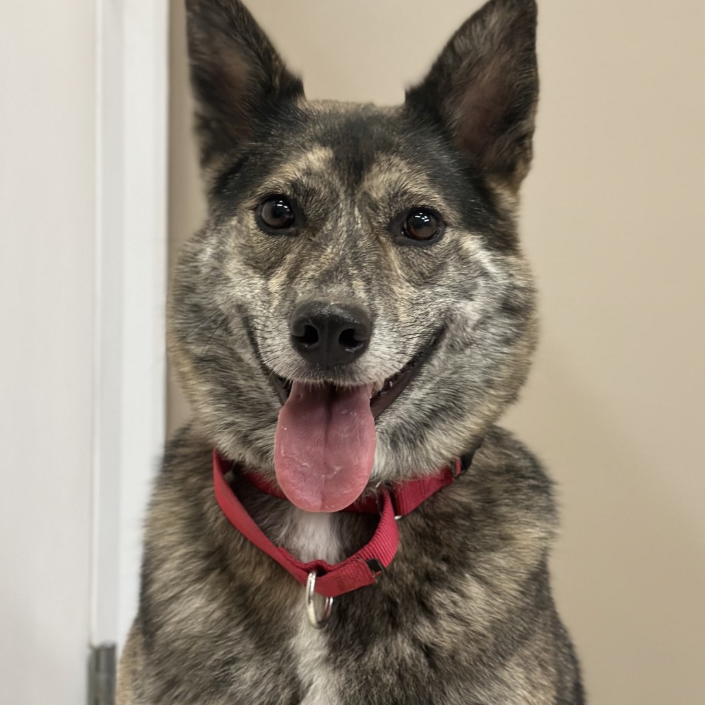 Addie / Everest — thumbnail 5