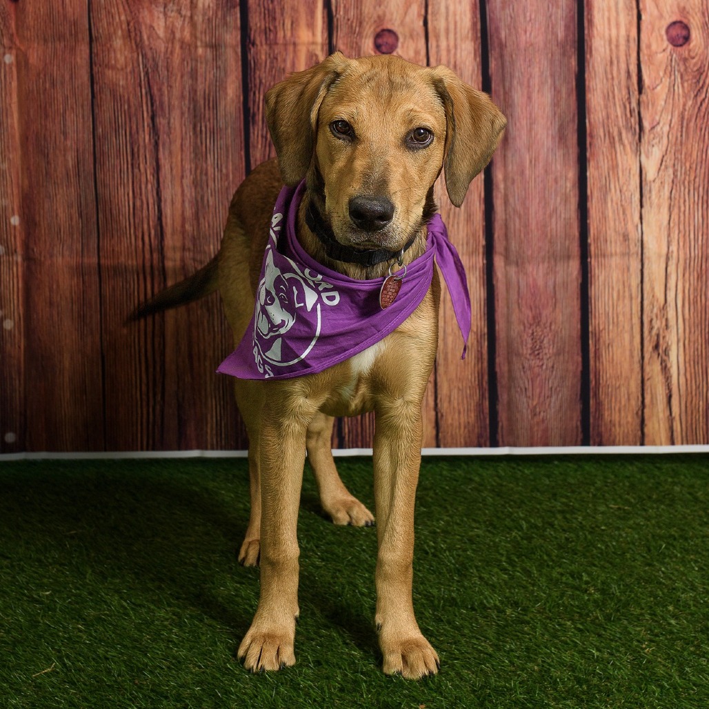 Photo of Belle Star