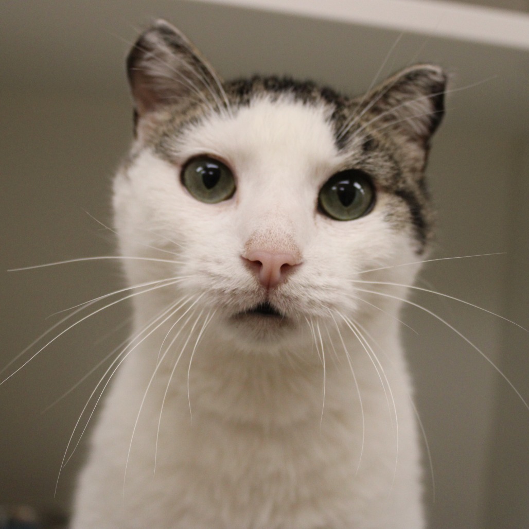 Alexis — thumbnail 2