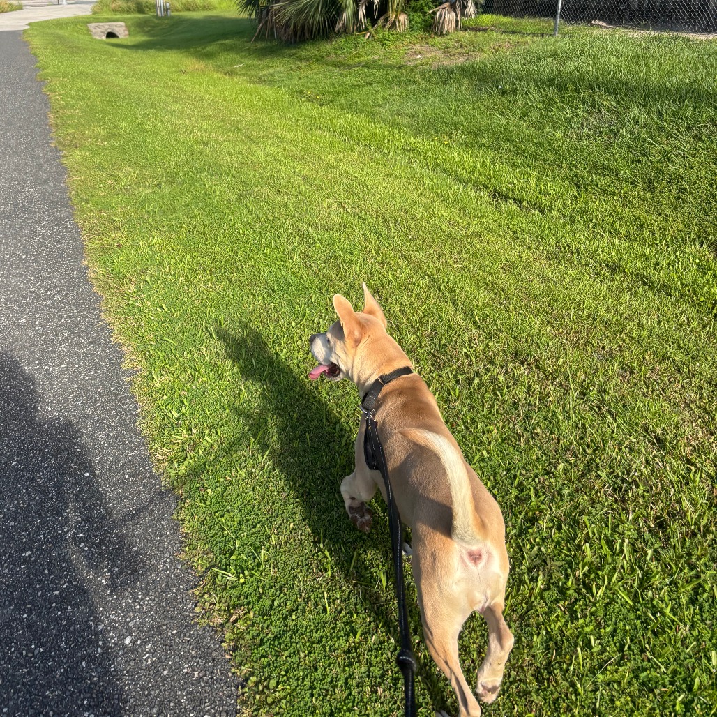Hope, photo 14