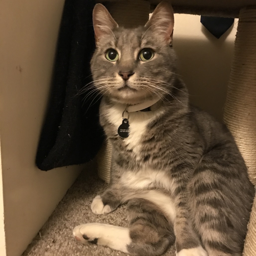 Photo of Bobby