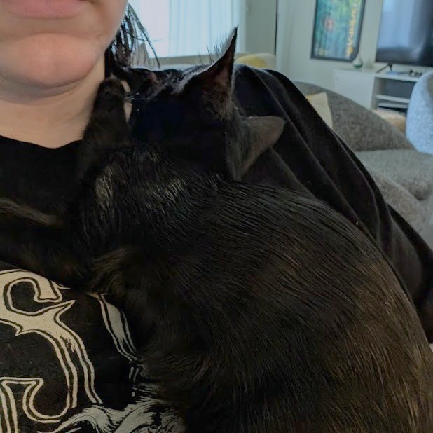 Zumi Zooma 16 — thumbnail 11