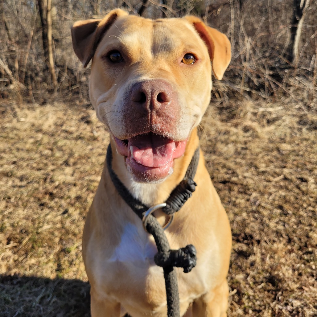 f2f3935b21e2f7114a6ec8b08a4d85c6