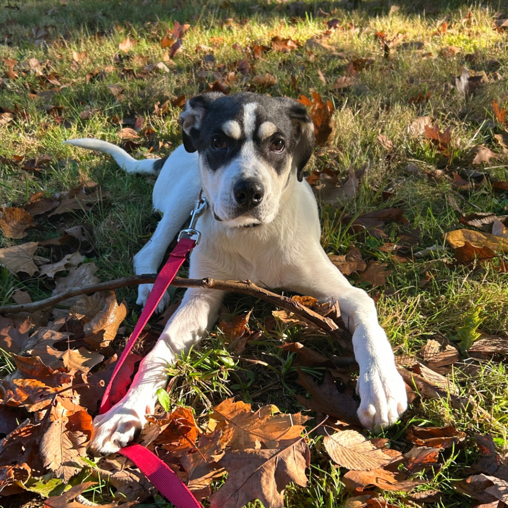 Tracker, photo 38
