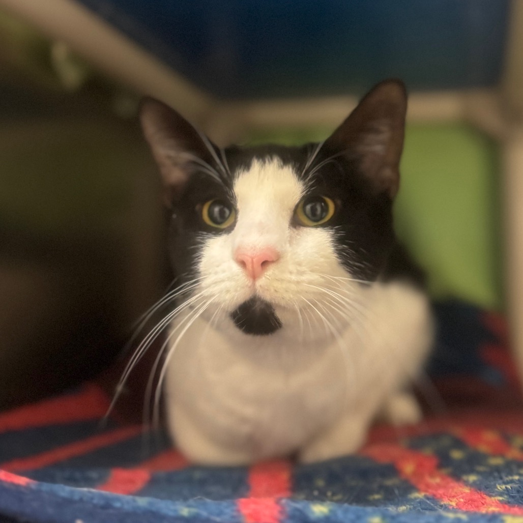 f632e4561003e44b7422f533c73595a1