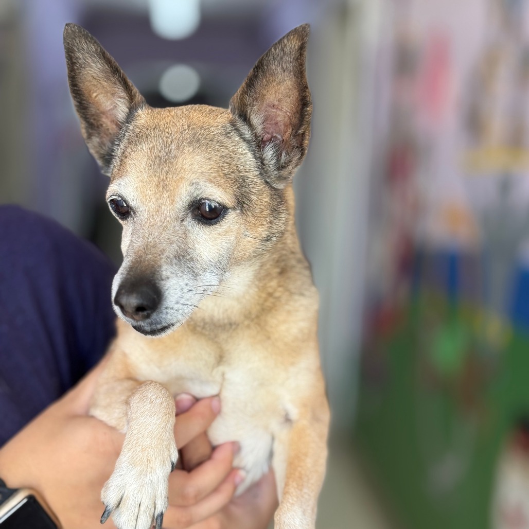 Brian — thumbnail 5