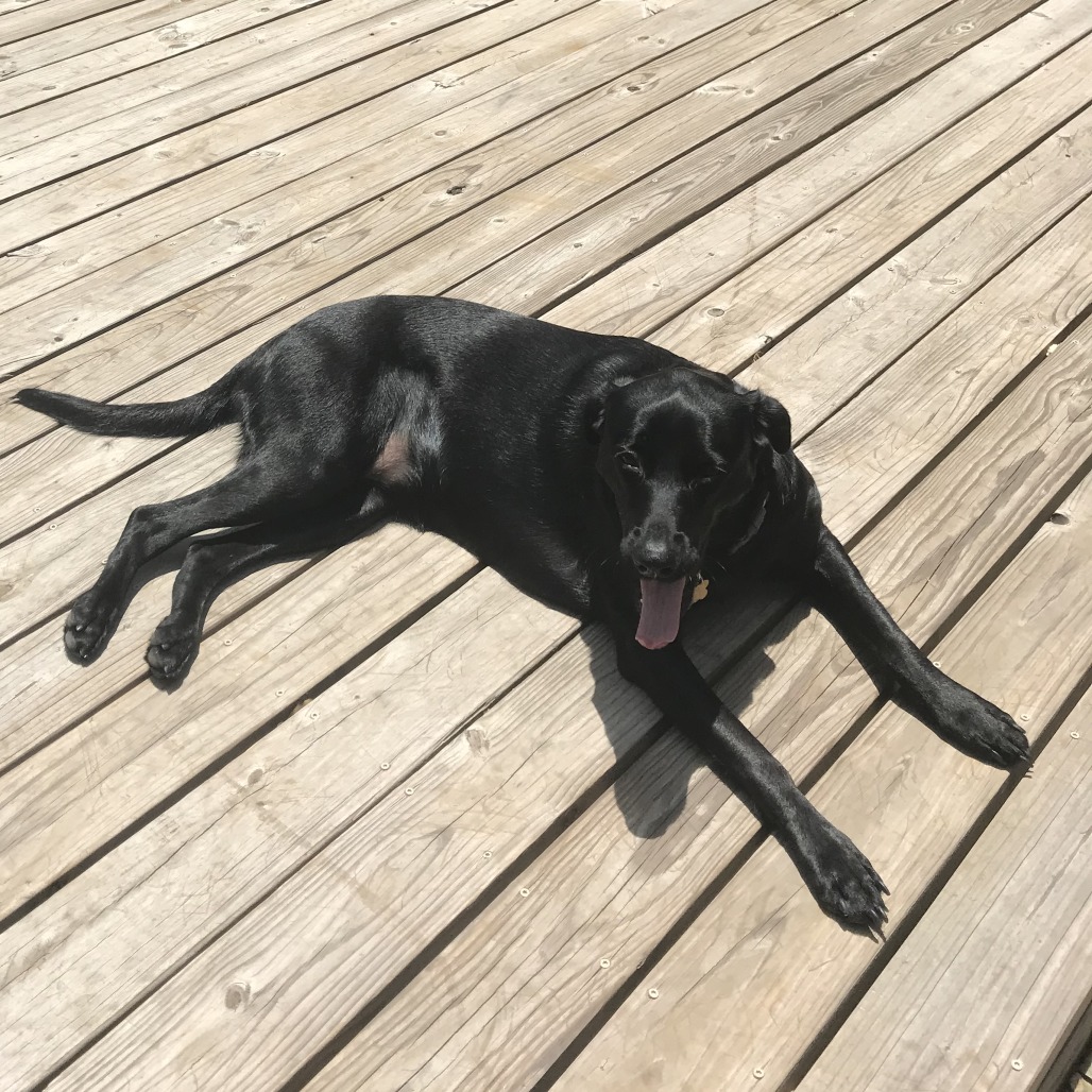 Baylor, additional photo