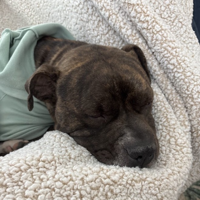 Keekoh — thumbnail 6