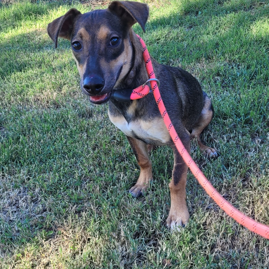 Crystal — thumbnail 4