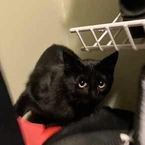Jet