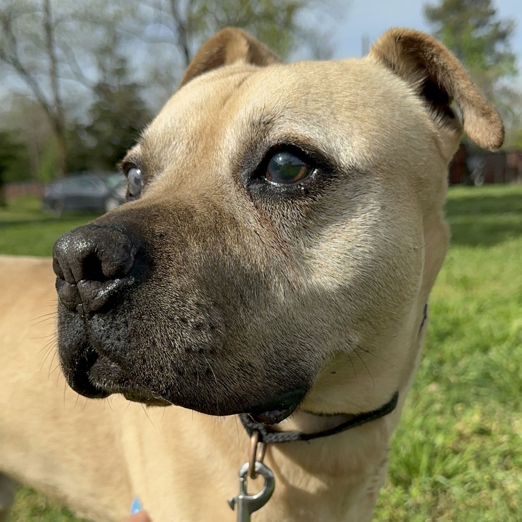 RUBBLE — thumbnail 2