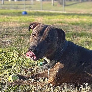 Keebler — thumbnail 8