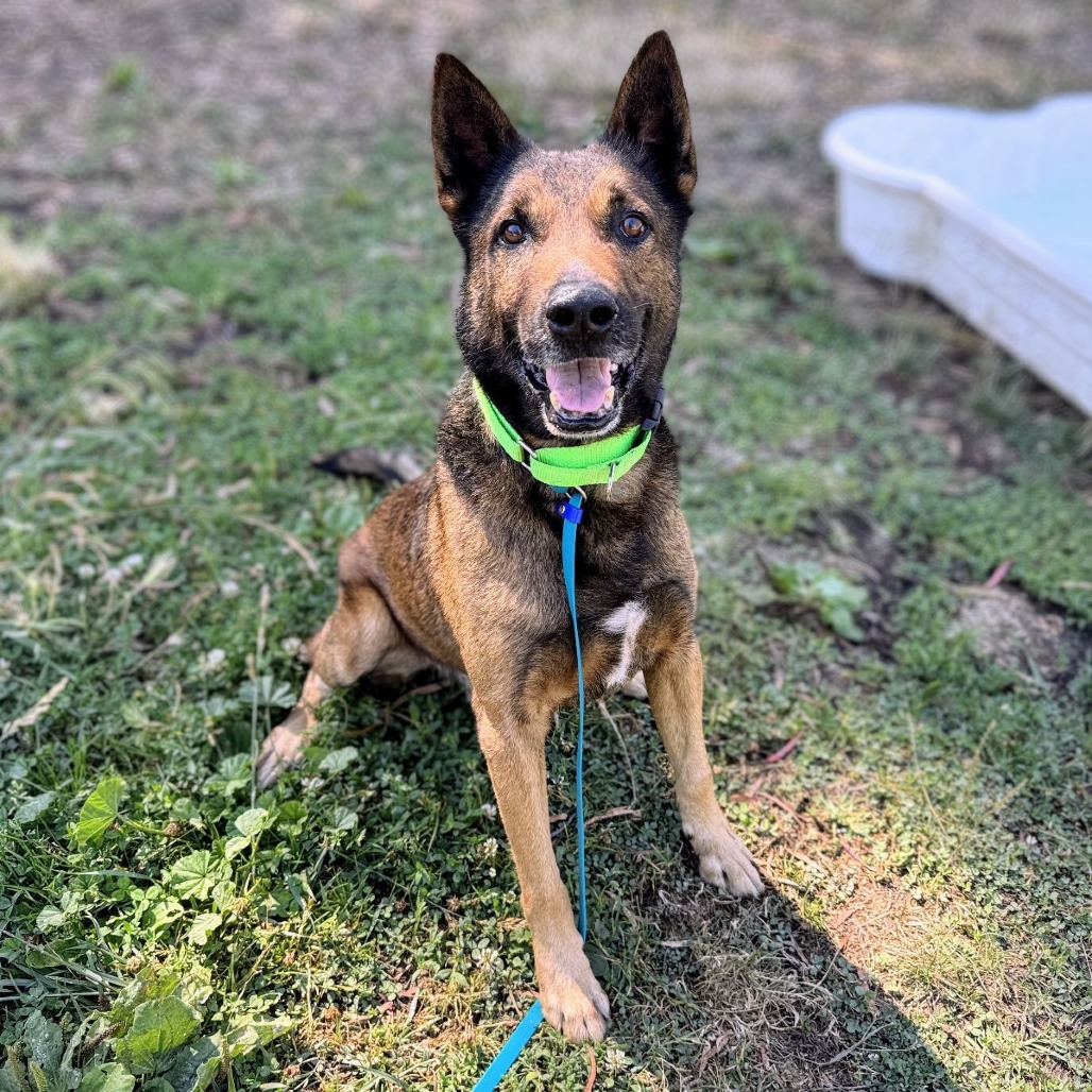 Ghirardelli — thumbnail 2