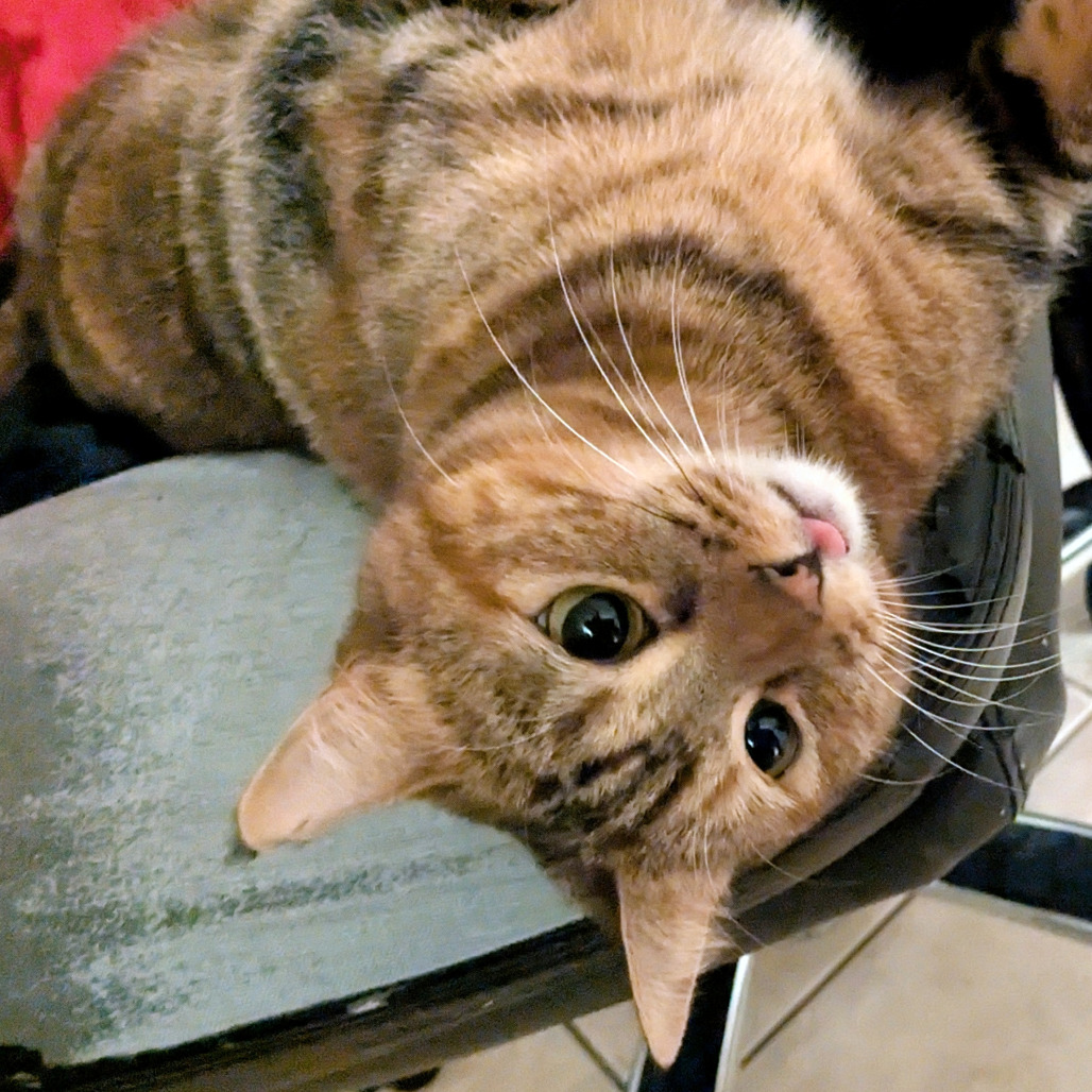 Olivia — thumbnail 4