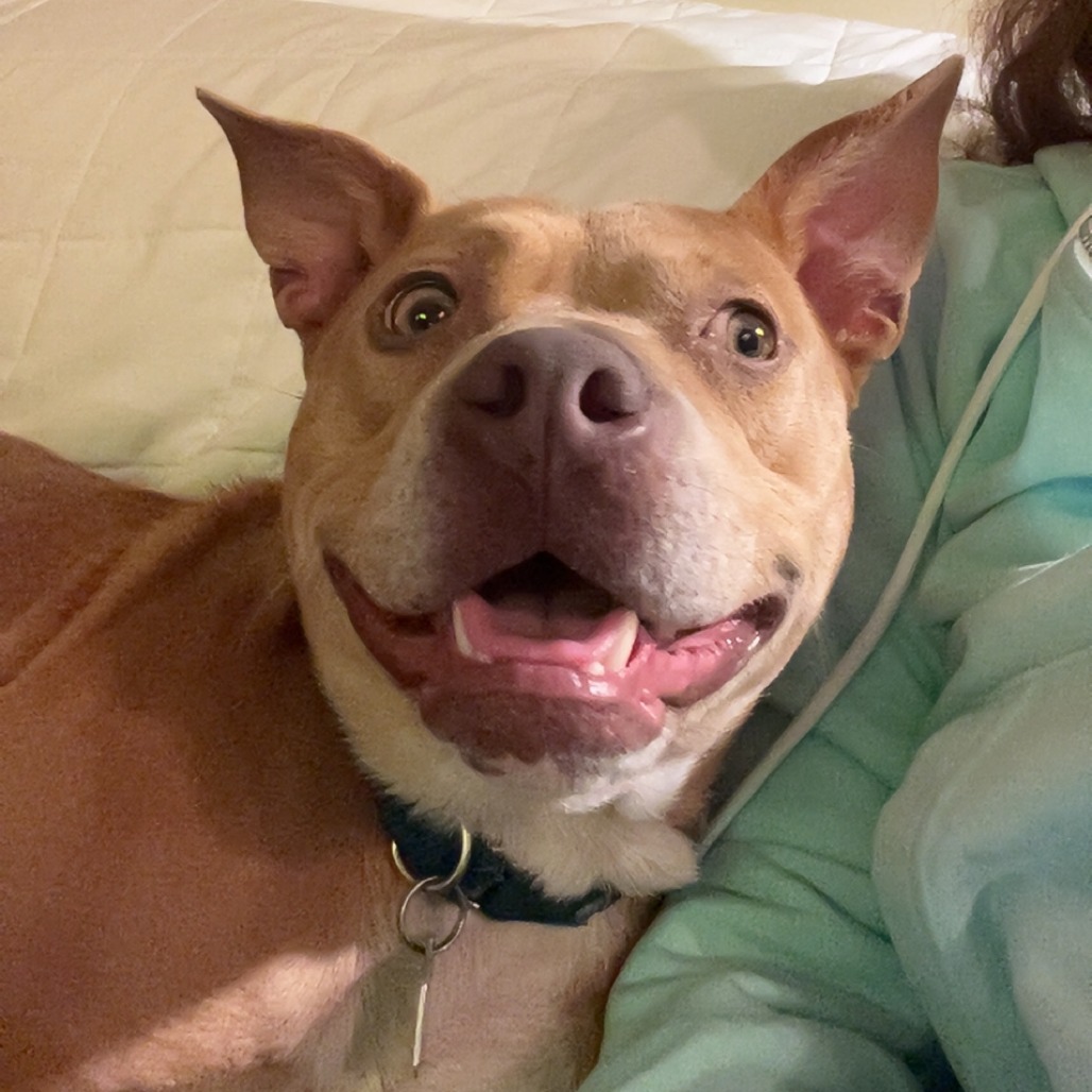 Honey — thumbnail 11