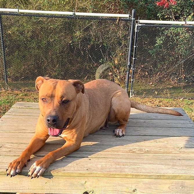 Elsie, photo 10