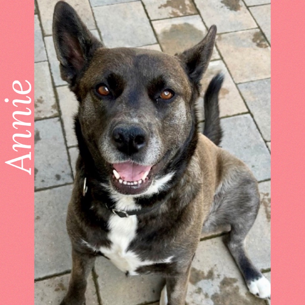 Annie, photo 4