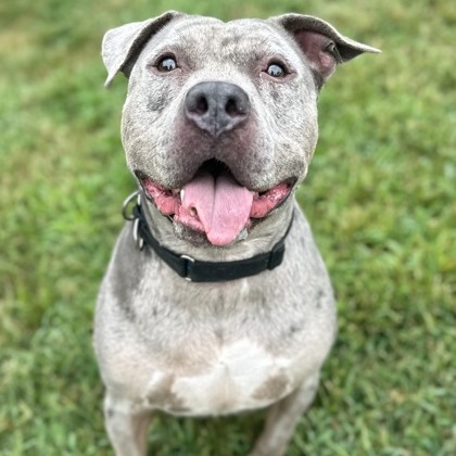 Milori — thumbnail 3