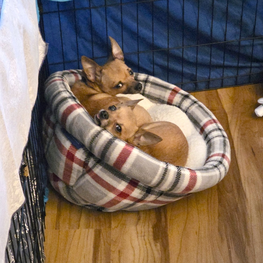 Paleta — thumbnail 5