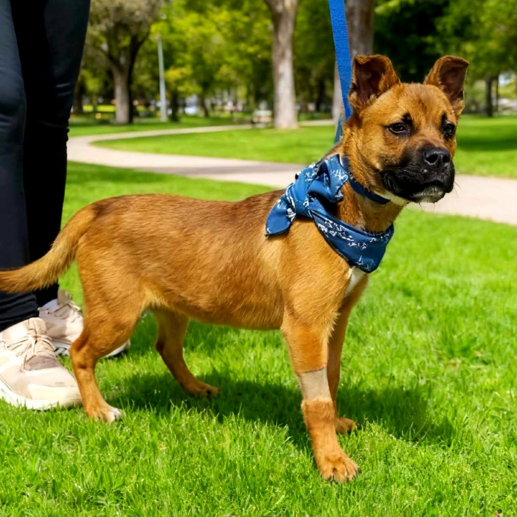 Rosco, photo 2