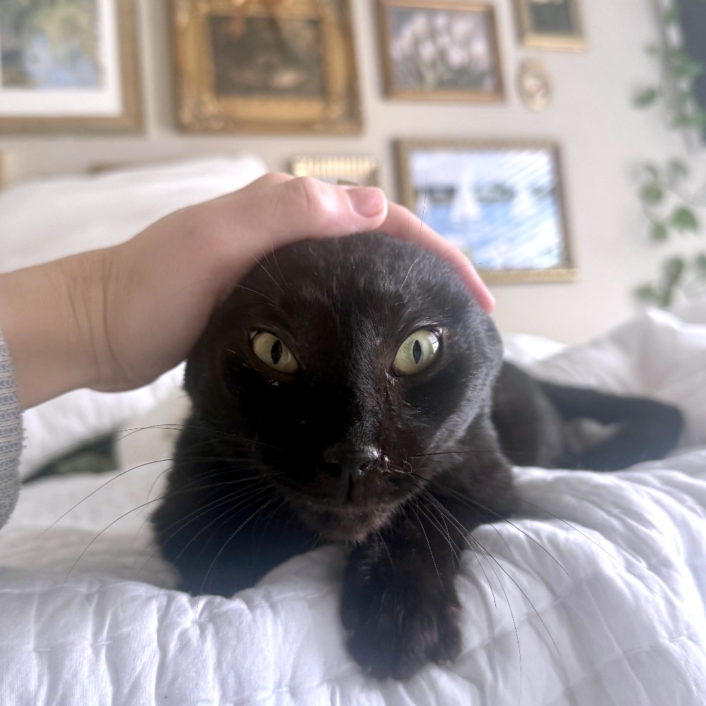 Edgar Eduardo — thumbnail 10