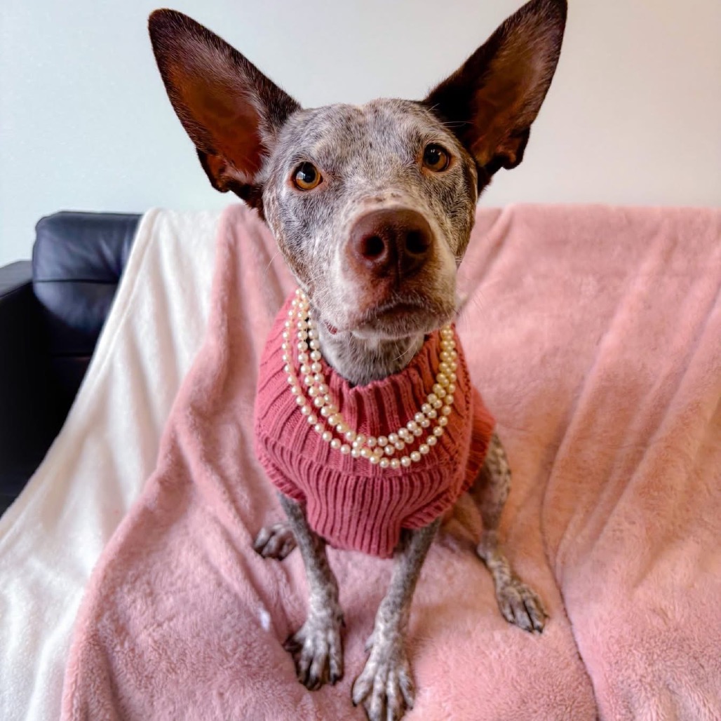 Maggie O'Hooligan/Mom 