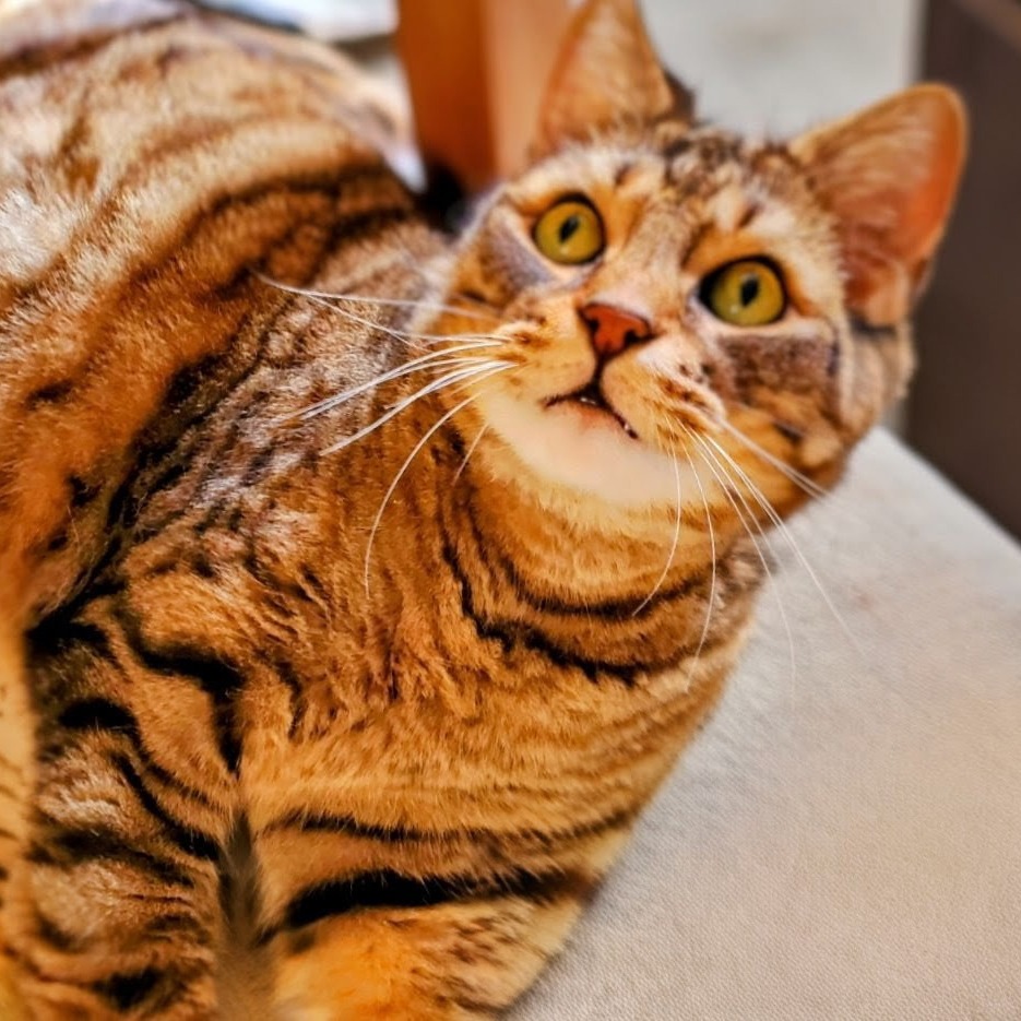 Tigger picture #8