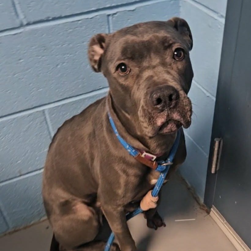 Stacey — thumbnail 5