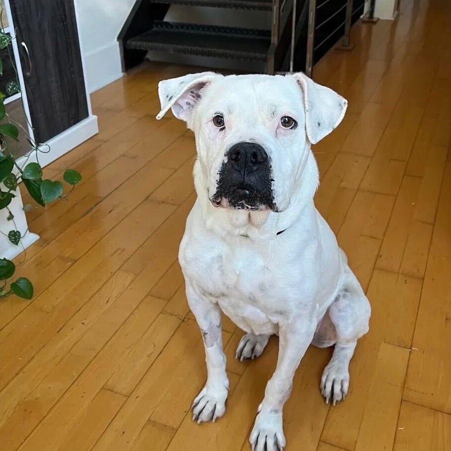 Daley Mae — thumbnail 2