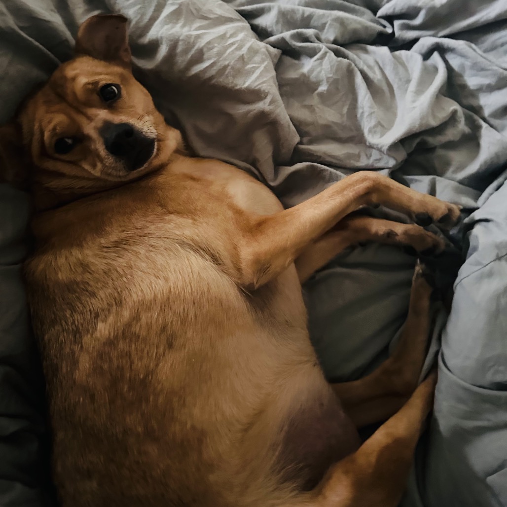 Samara — thumbnail 5