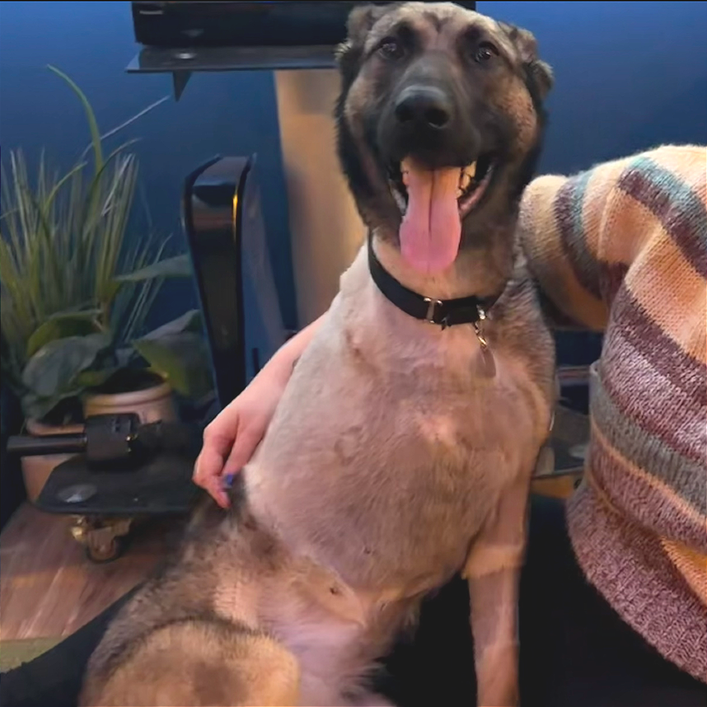 Hera — thumbnail 4