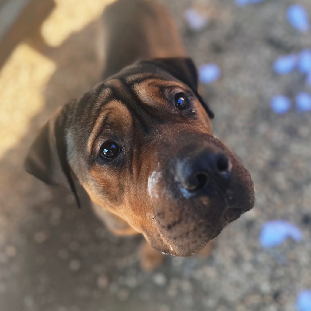 Karl — thumbnail 4