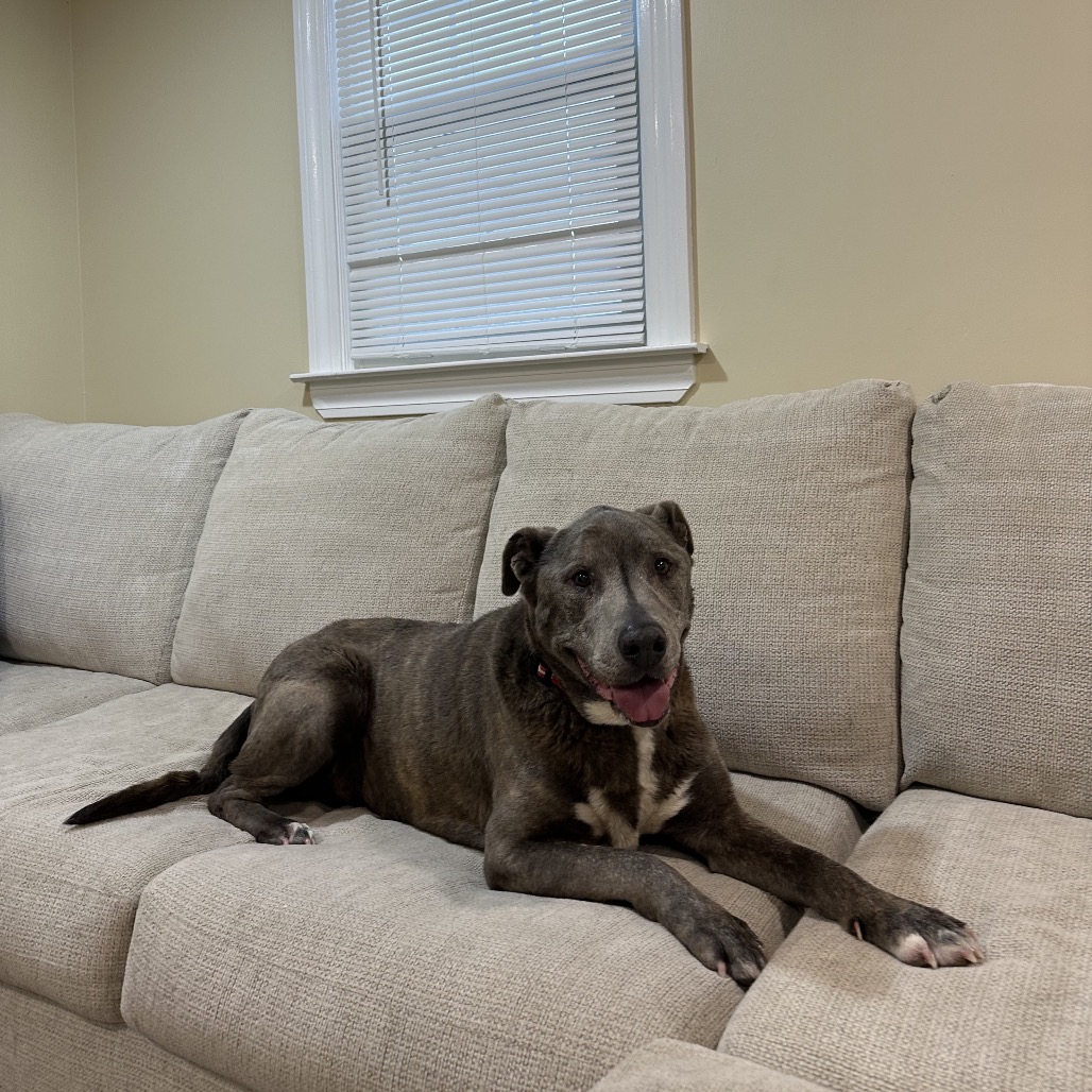 Walter, photo 6