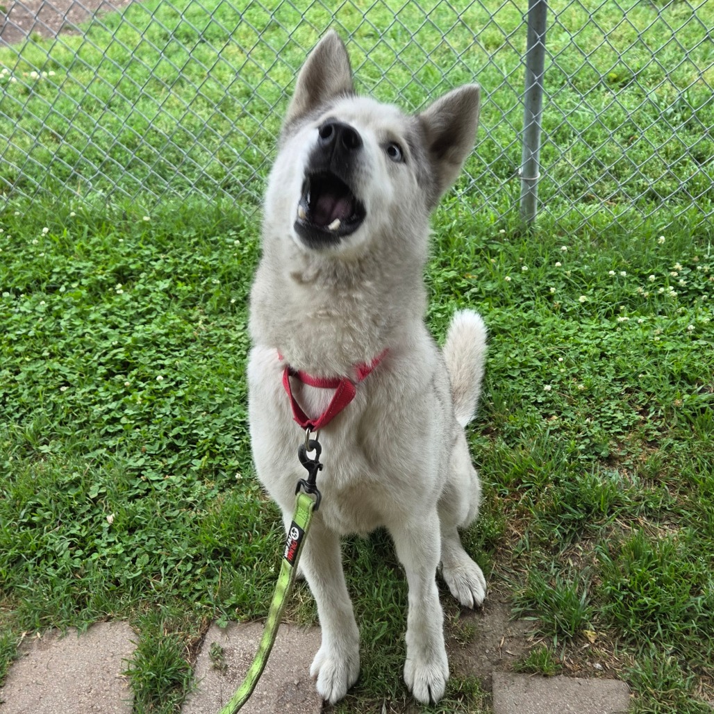 Casper photo 5