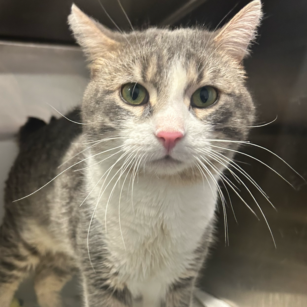 Hugh — thumbnail 3