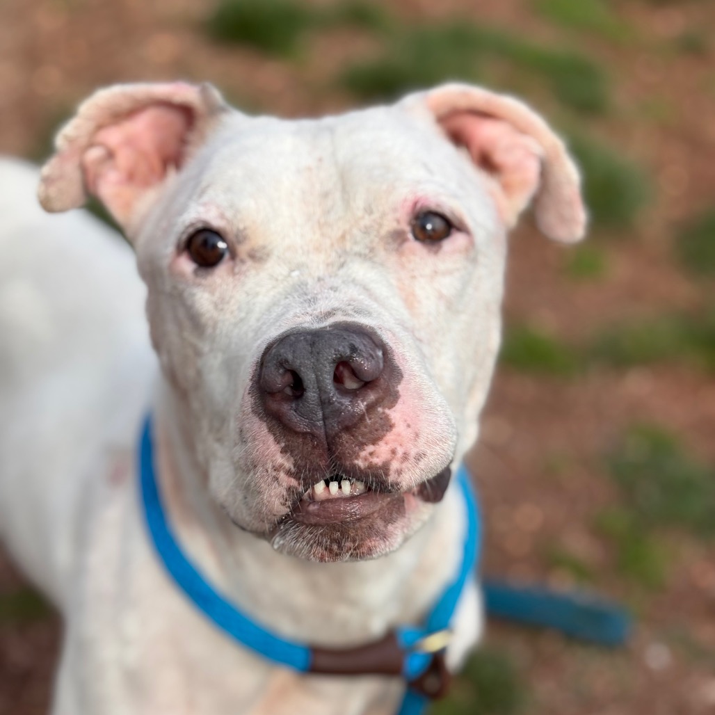 eb0e57ec781f558924457f4455e39140