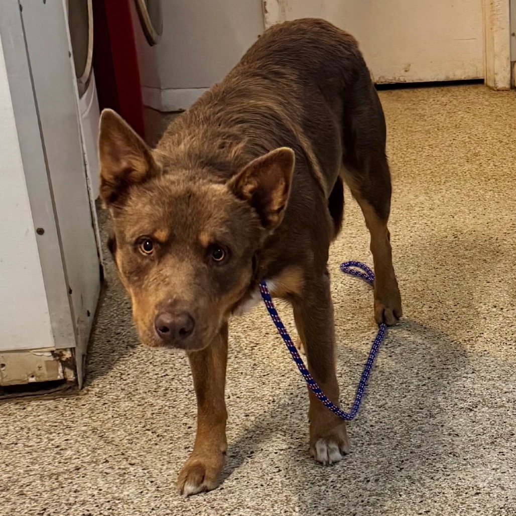 Rudy — thumbnail 2