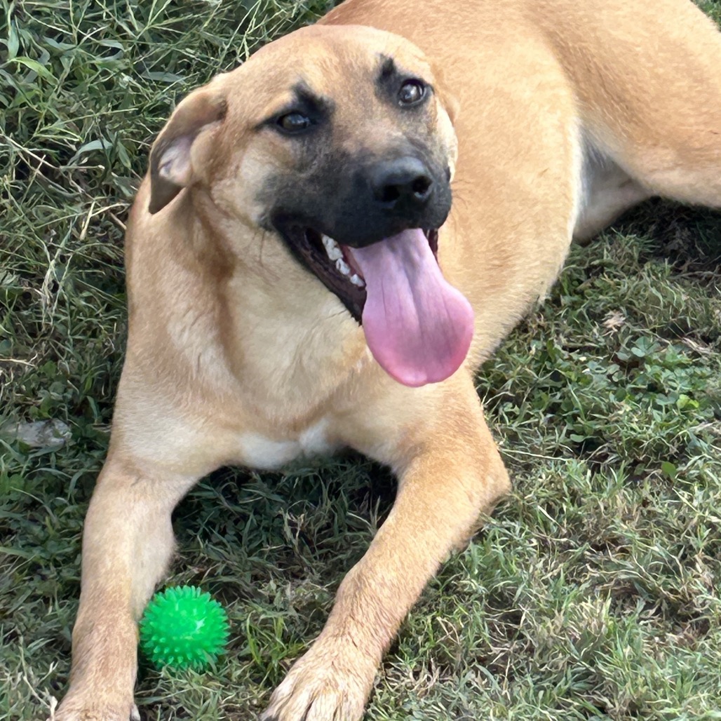 Gigi — thumbnail 3