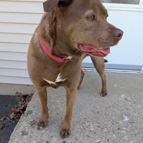 Rex, photo 27