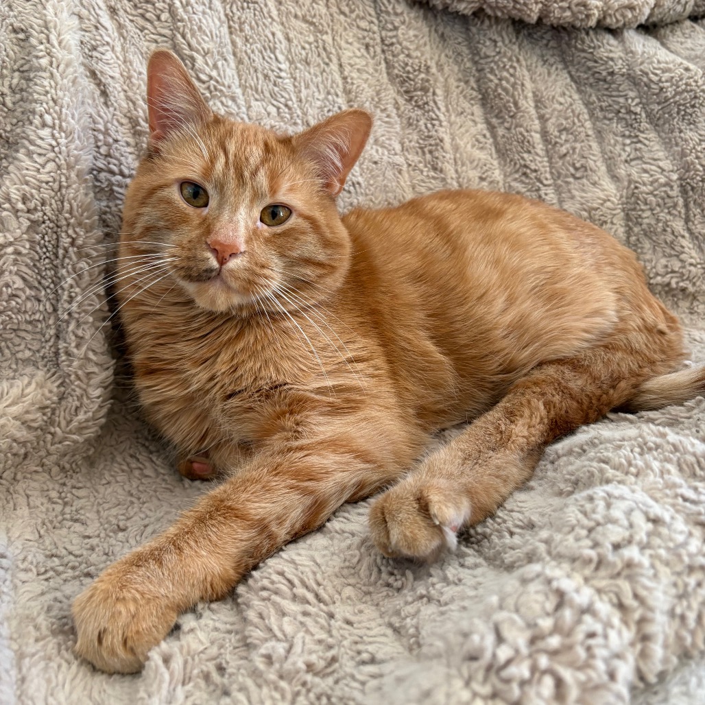 Filbert, photo 15