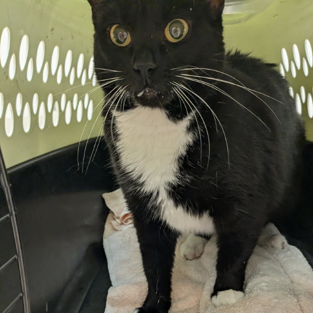 Sushi — thumbnail 2