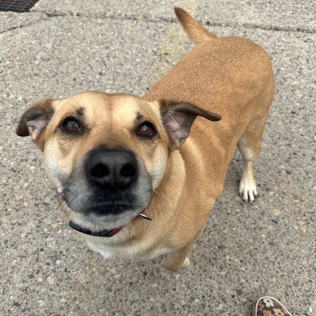 S'more — thumbnail 3