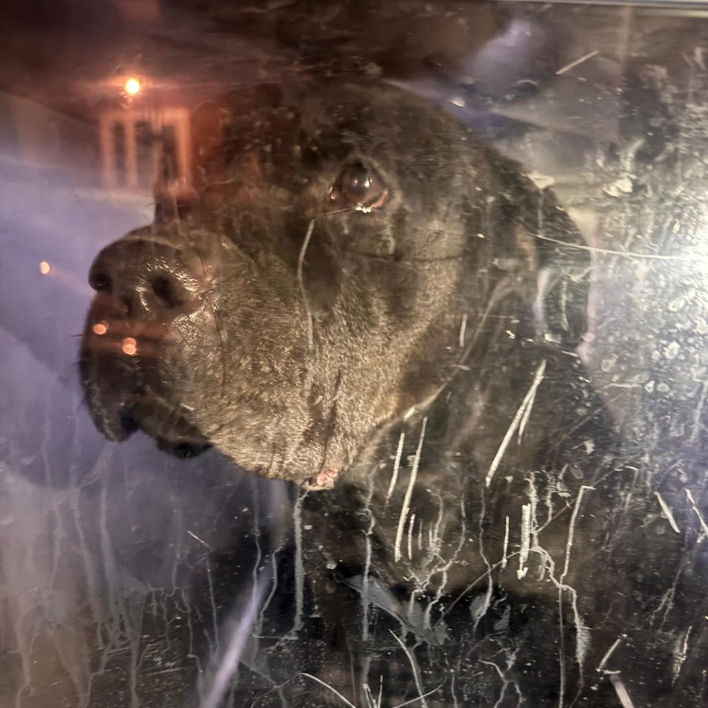 Lindley — thumbnail 2