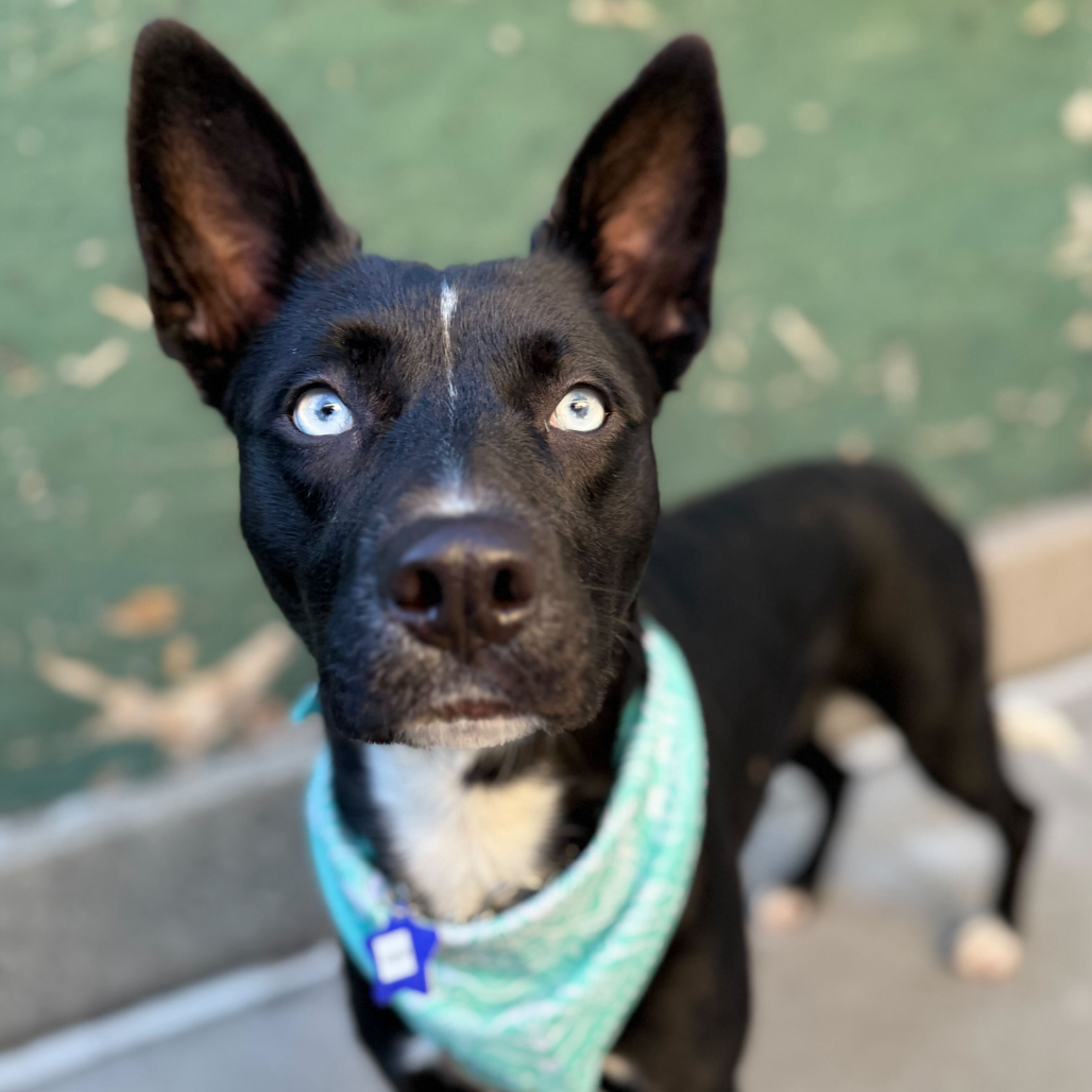 Egypt — thumbnail 3